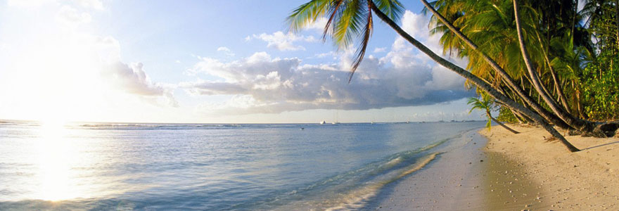 Catégorie vacances soleil