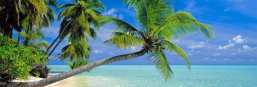 Catégorie voyage maldives