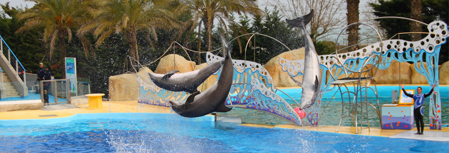 parc Marineland